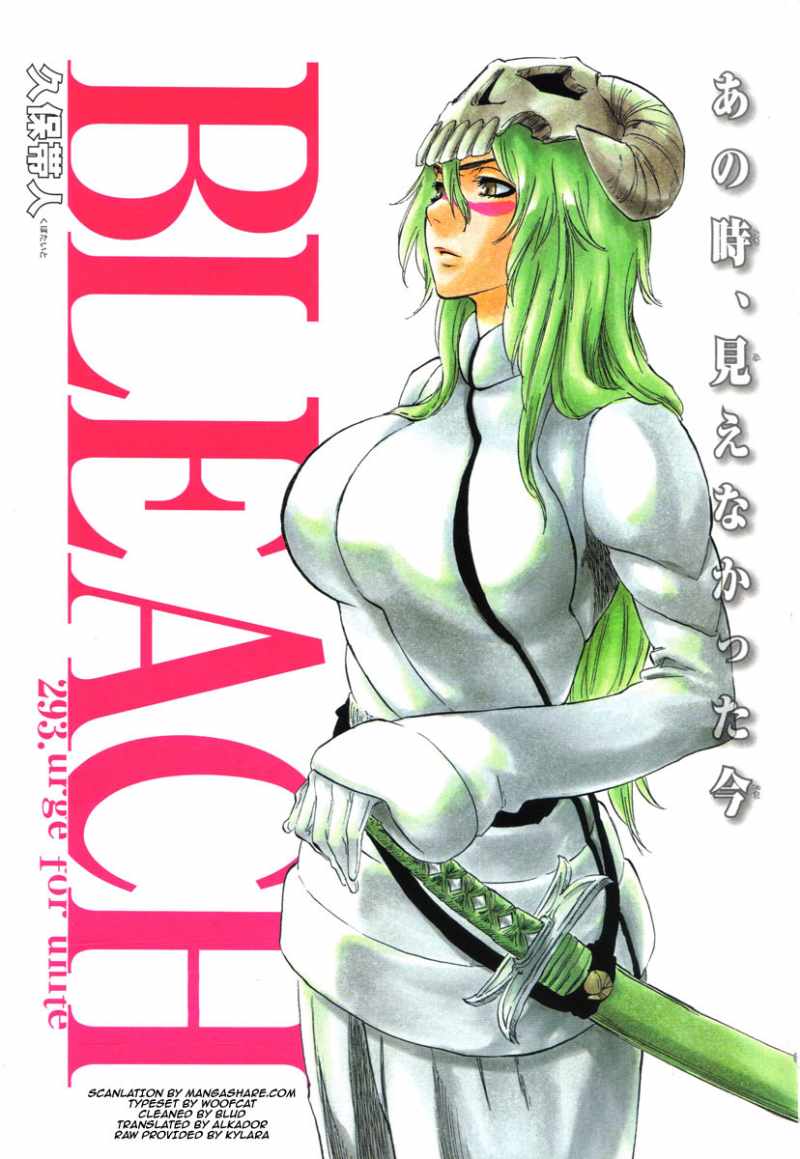 bleach29301pv4.jpg