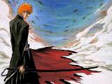 ichigo bankai.jpg