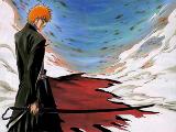 ichigo bankai.jpg