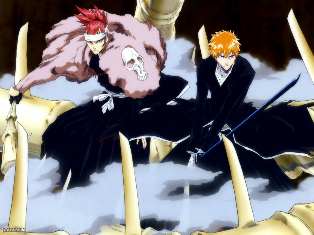 1177852835_ichigo-renji-s-BANKAI.jpg